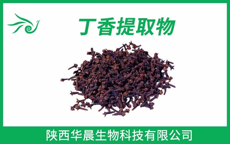 丁香提取物、母丁香提取物、公丁香提取物