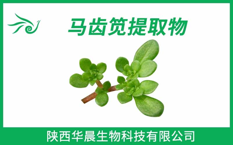 馬齒莧提取物、馬齒筧提取物