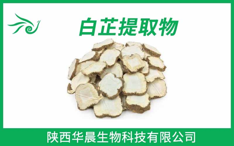 白芷提取物 歐前胡素
