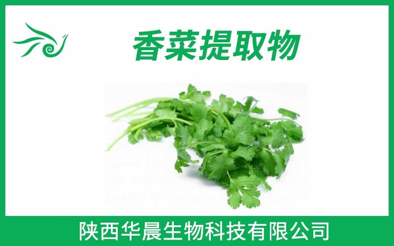 香菜提取物、芫荽提取物