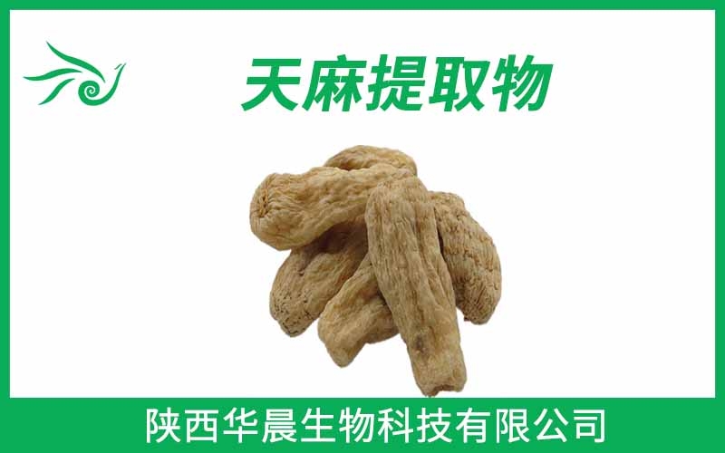 天麻提取物