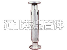 軸向復(fù)式波紋補償器/FS